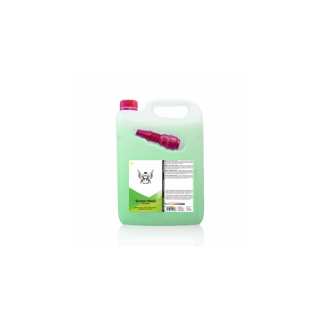 RR Customs Screen Wash Summer 4L letni plyn