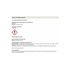 Shiny Garage Peach&mango Air Fresher 250ml