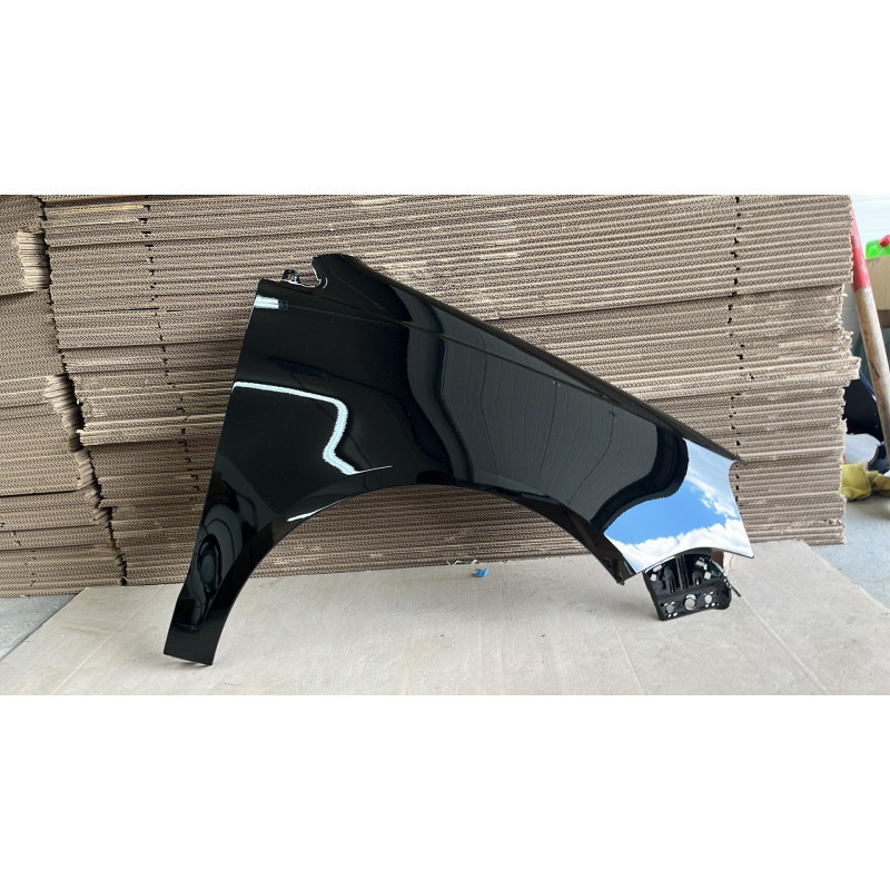 Volkswagen Polo 9N3 -Blotnik- L041- Ocynk/Nowy! Prawy