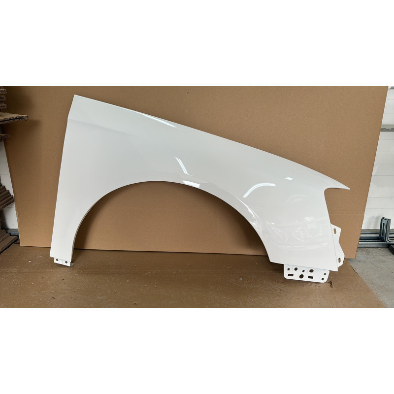 Volkswagen Passat B6 Blotnik - LB9A - Ocynk/Nowy! Prawy