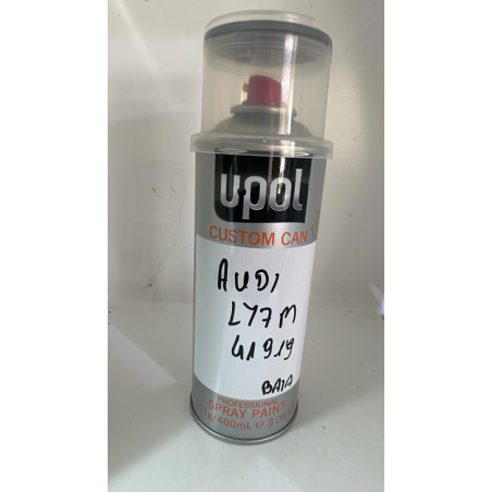 Spray Audi LY7M